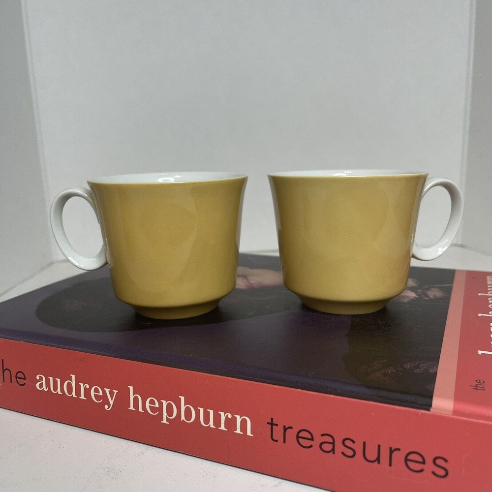 FASHION MANOR FINE CHINA OAKDALE PATTERN MID CENTURY CUPS (2)